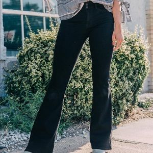 Flying Monkey Flare Jeans